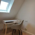 Aura Sylt